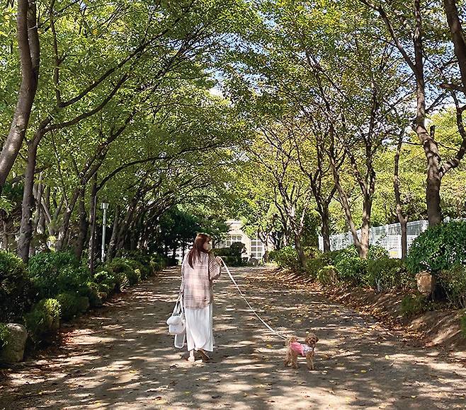 카페 앞에 반려견과 산책할 수 있는 길이 있다.