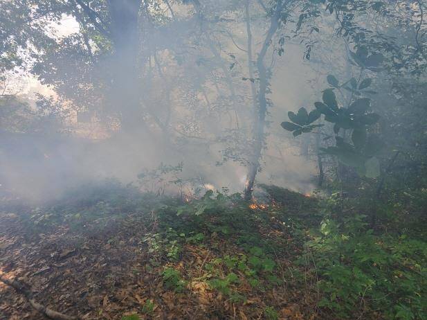 15일 오후 안양 관악산 자락에서 난 불 [산림청 제공. 재판매 및 DB금지]