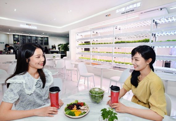 모델들이 16일 서울 성산동 홈플러스 월드컵점에 오픈한 스마트팜 카페 ‘팜스365’에서 재배 중인 작물들을 살펴보고 있다. 홈플러스 제공.