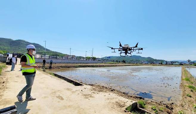 군위군은 16일 군위읍 정리 일원에서 드론 직파 연시회를 진행했다. (군위군 제공) 2022.05.16