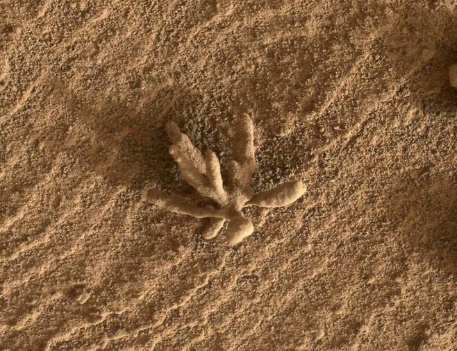 미국항공우주국(NASA)의 화성 로버(이동형 탐사로봇) 큐리오시티가 포착한 화성의 광물 꽃. / 사진=미국항공우주국(NASA)