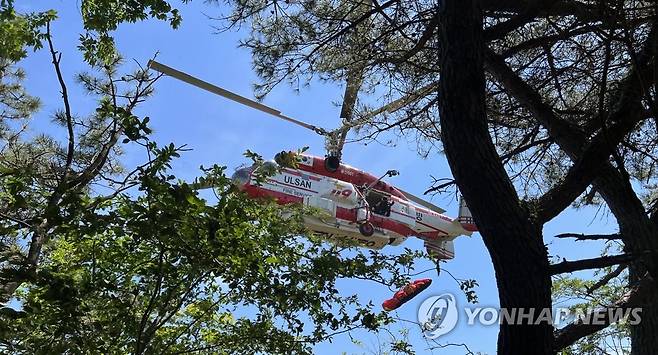 추락 헬기 부상자 구조 (거제=연합뉴스) 16일 오전 8시 40분께 경남 거제시 거제면 선자산 정상 부근에서 기장 등 3명이 탄 헬기가 추락했다. 
    사진은 사고 현장에서 부상자를 이송하는 구조 헬기 모습.[경남소방본부 제공. 재판매 및 DB 금지] home1223@yna.co.kr