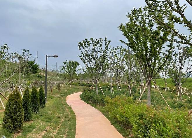 미세먼지 차단 숲 [무안군 제공·재판매 및 DB 금지]