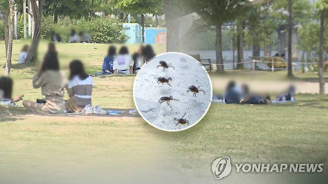 진드기 매개 SFTS 올해 첫 사망자 발생…"야외활동 조심"(CG) [연합뉴스TV 제공]