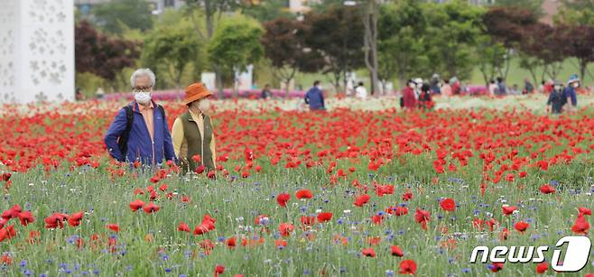 13일 오후 울산 태화강 국가정원 초화단지를 찾은 시민들이 활짝 핀 꽃들을 감상하고 있다. 2022.5.13/뉴스1 © News1 조민주 기자
