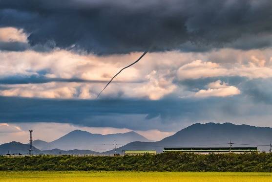 '용오름 현상(김용천 작)'.(제주지방기상청 제공)© 뉴스1