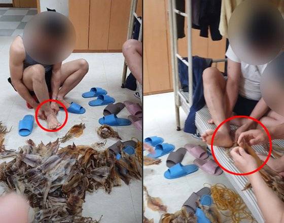 경북 포항의 한 수산물 시장 근무자로 추정되는 외국인노동자가 맨발(빨간원)로 마른오징어를 펴는 작업을 하고 있다. [틱톡 캡처]
