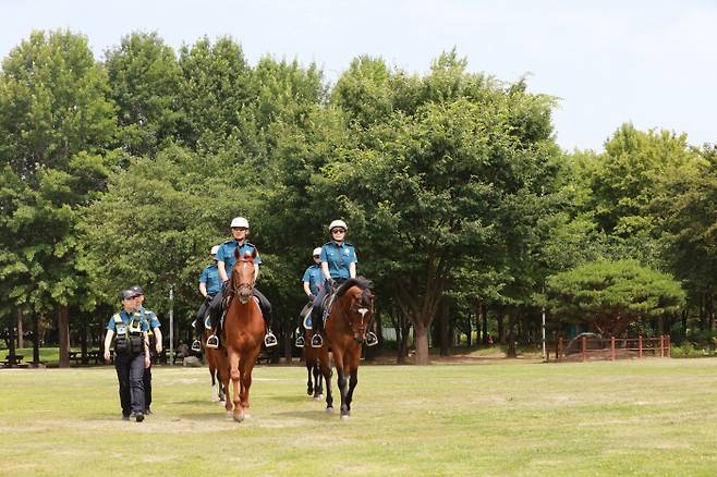 오는 26~28일 임시 개방되는 서울 성동구 뚝섬승마장에서는 서울경찰청 경찰기마대와 함께 하는 승마 체험이 운영된다. 서울숲을 순찰 중인 경찰기마대 모습. 서울시 제공