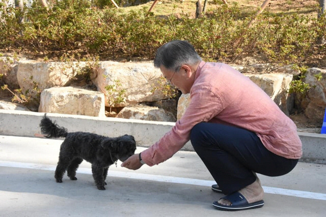 문재인 전 대통령이 반려견 토리에게 먹을 것을 건네고 있다. [사진 = 평산마을 비서실 제공]