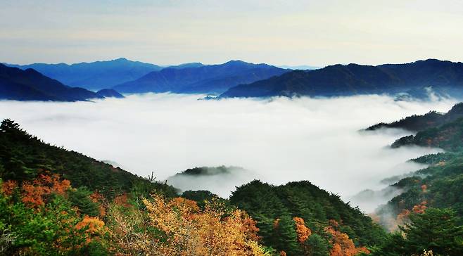네이처로드 1코스 추천지 화천 해산전망대