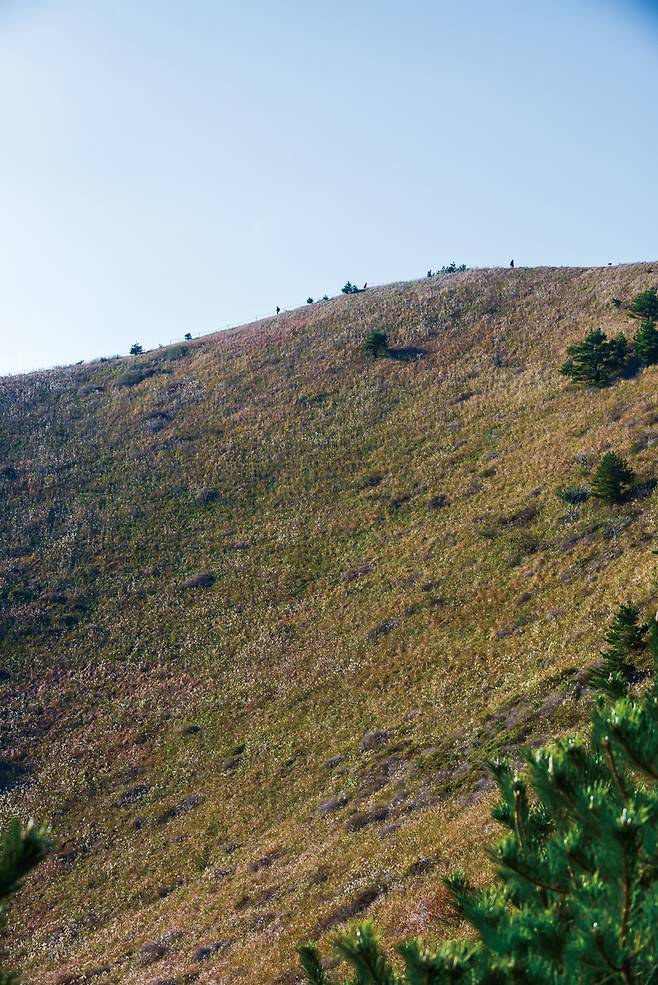 다랑쉬오름 굼부리 안쪽 벽. 가파르기가 가늠된다.