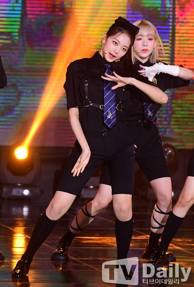 티브이데일리 포토