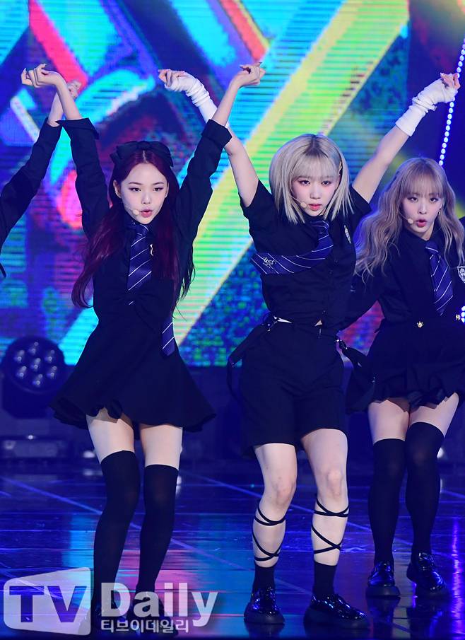 티브이데일리 포토