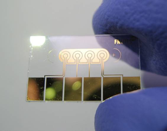 Biosensor capable of detecting cancer with a drop of blood (Institute for Basic Science)