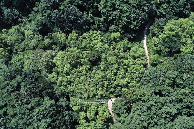 월령습지 항공사진. *재판매 및 DB 금지