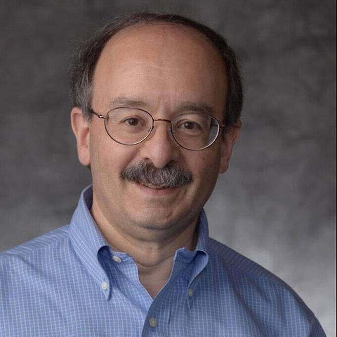 에이머리 러빈스 교수