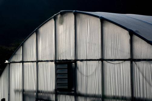 (사진=이미지투데이)