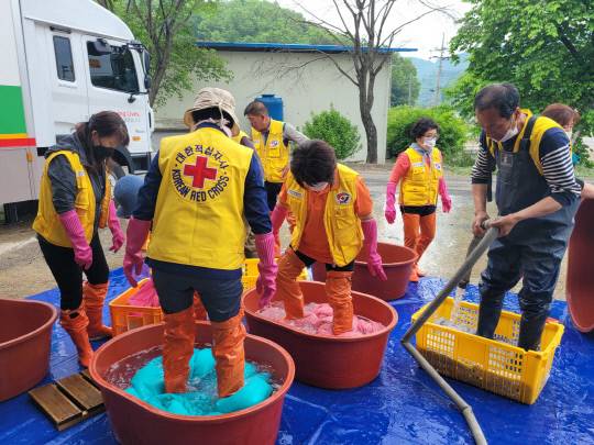 사진=보은군 제공