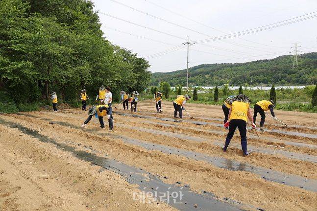 농촌 봉사활동. ⓒ한국남동발전