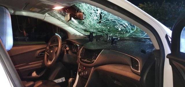 보배드림 갈무리