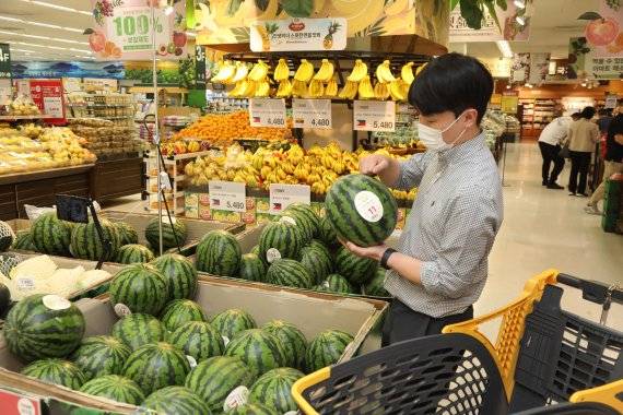 고객이 이마트 매장에서 수박을 살펴보고 있다. 이마트 제공