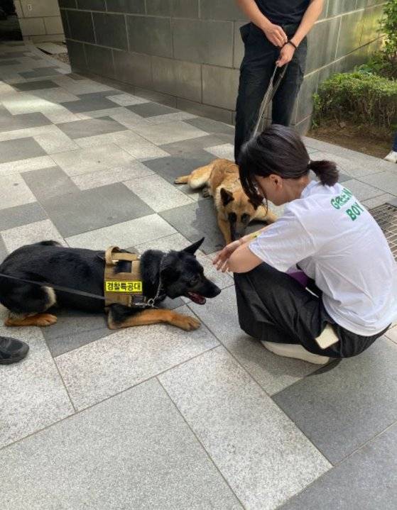 윤석열 대통령 부인 김건희 여사가 지난 12일 서울 서초동 자택 아크로비스타 앞에서 경호견 특화 훈련에 참여하고 있다. [사진 페이스북]