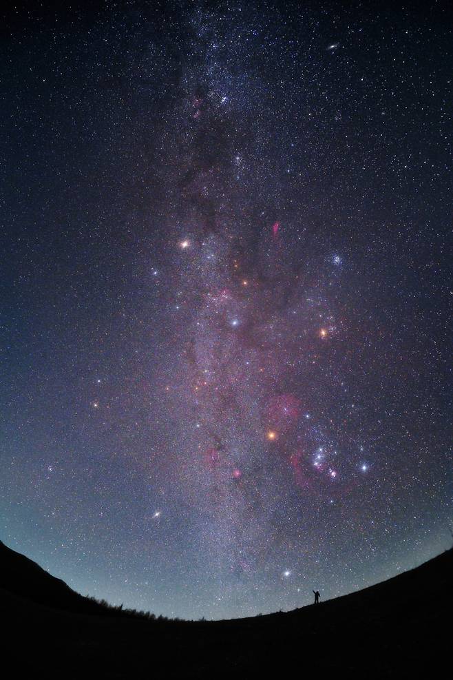 지구와 우주 분야에서 금상을 받은 강지수 씨의 ‘겨울밤 초대형 크리스마스 트리’.