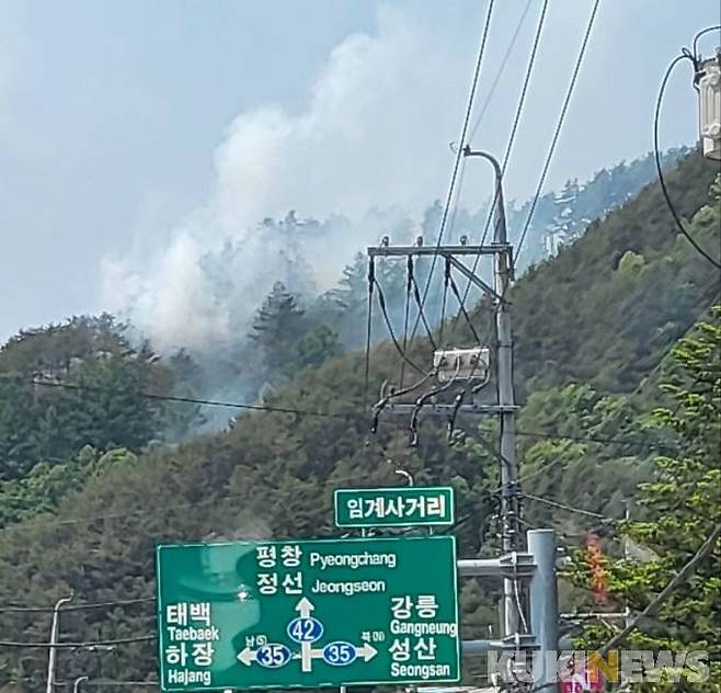 강원 정선 산불현장(사진=독자제공)