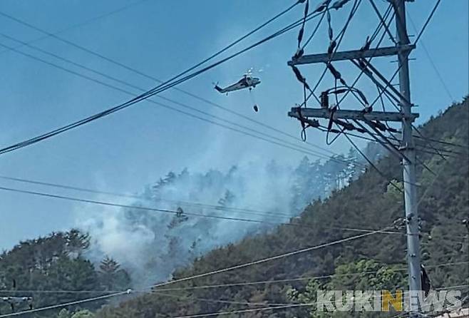 사진=독자 제공