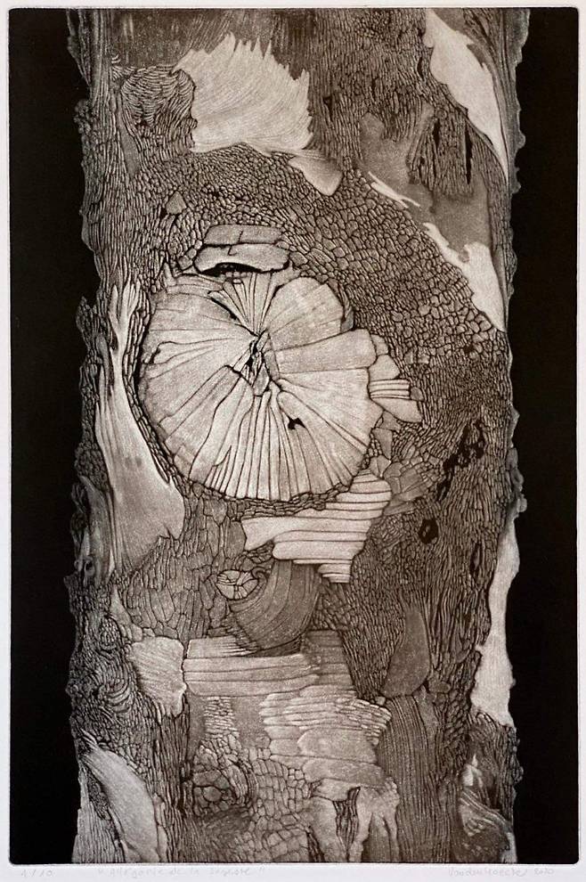 지혜로움의 알레고리, 채색 동판화, 20×30cm 2020