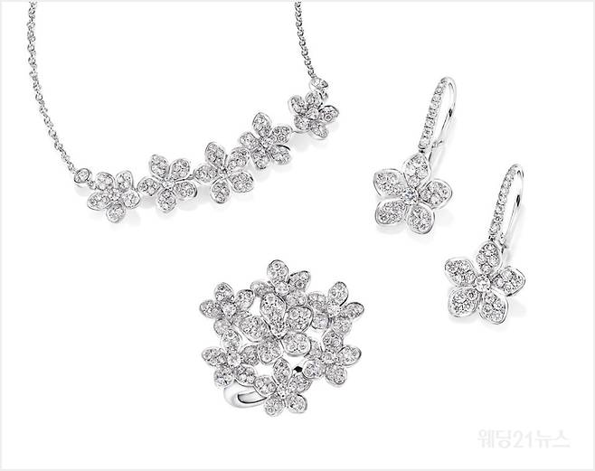 사진 :&nbsp;그라프 와일드 플라워 컬렉션