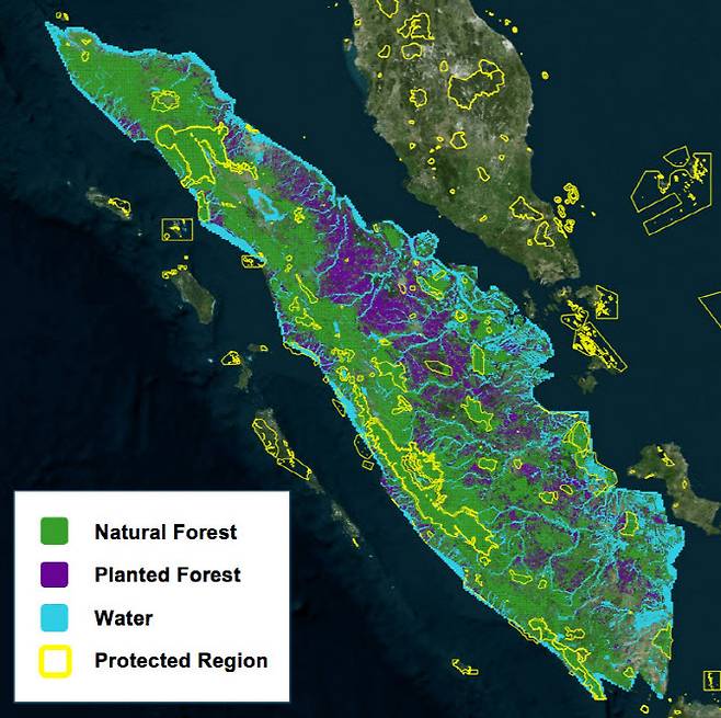 KT SAT과 파트너쉽을 맺은 오비탈인사이트 플랫폼을 활용해 수마트라 섬의 산림 현황을 분석한 모습