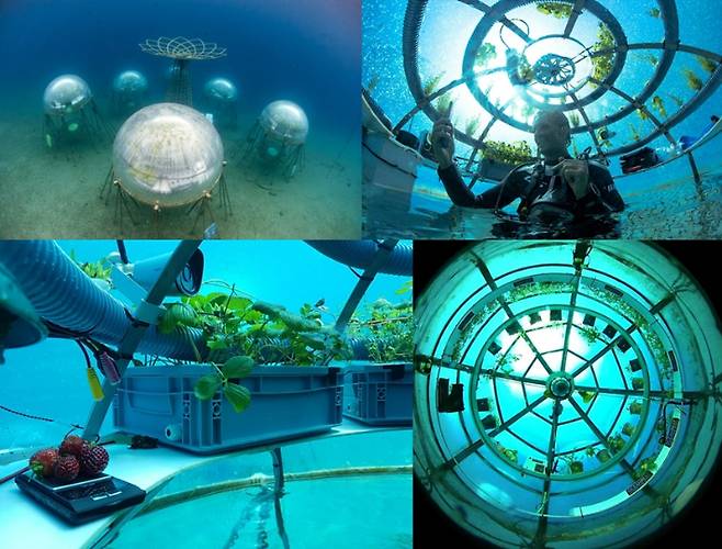 니모스 가든. 니모스 가든 누리집 캡쳐(nemosgarden.com)