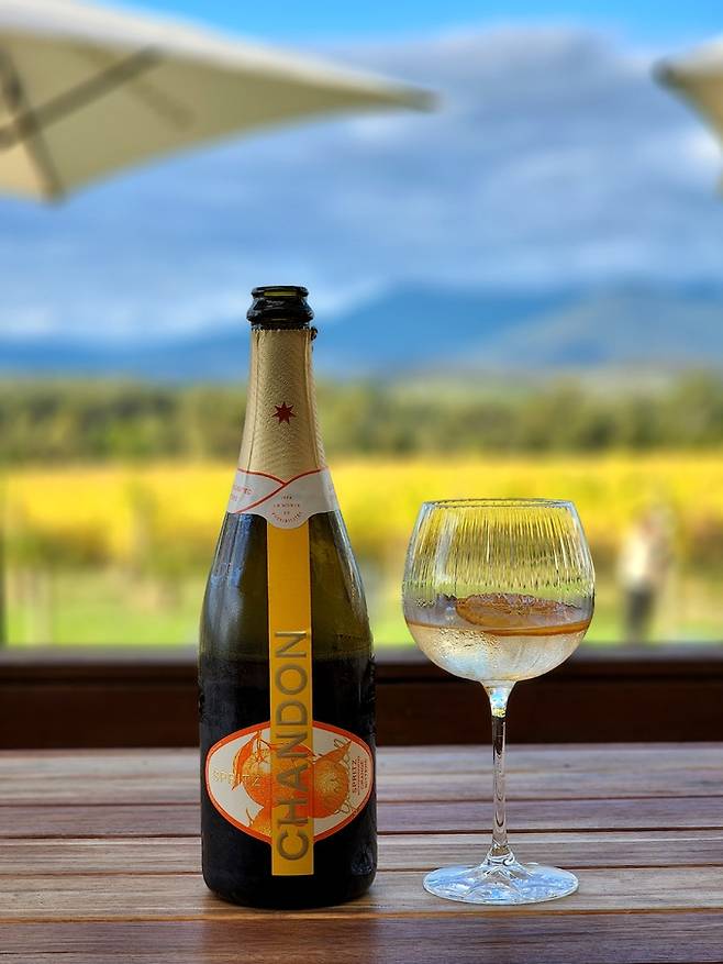 도멘 샹동 스프릿 오렌지 비터