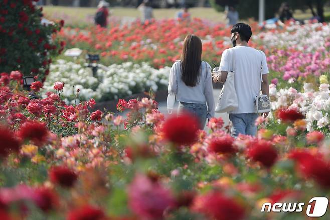 25일 오후 울산 남구 울산대공원 장미원을 찾은 시민들이 활짝 핀 꽃들을 감상하고 있다. 2022.5.25/뉴스1 © News1 조민주 기자