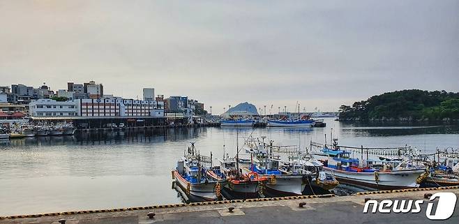 26일 오전 제주 서귀포항 일대 © 뉴스1 황덕현 기자