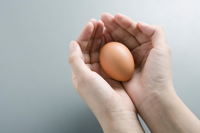 사진설명= 매일 달걀 1개를 섭취하는 것이 심장 건강에 도움이 된다는 연구 결과가 나왔다./사진=클립아트코리아
