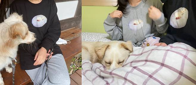 박씨가 반려견 열매의 모습을 본따 제작한 맨투맨 티셔츠를 입고 있는 모습/독자제공