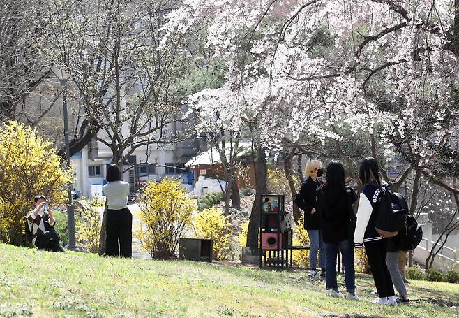 완연한 봄 날씨가 이어진 7일 서울 관악구 서울대학교에서 학생들이 모여있는 모습. 뉴스1