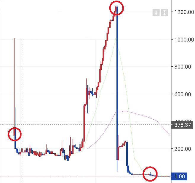 A씨 일당의 범행에 사용된 가상화폐에 대한 거래소 차트. /사진=강남경찰서