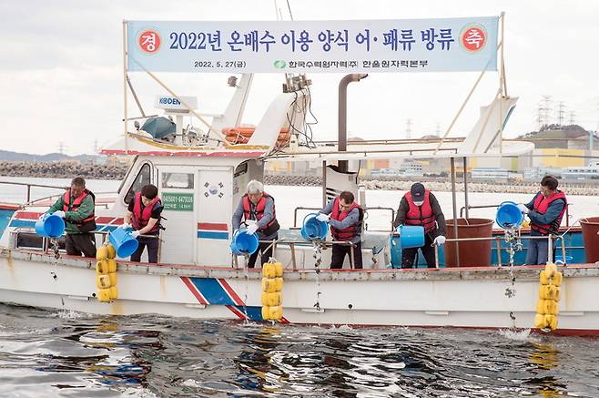 [울진=뉴시스] 이바름 기자 = 한국수력원자력㈜ 한울원자력본부(본부장 박범수)는 27일 월성원전 온배수로 키운 어패류 치어 6만미를 경북 울진군 북면 석호항에 방류했다고 밝혔다.(사진=한울원자력본부 제공) 2022.05.27. photo@newsis.com *재판매 및 DB 금지