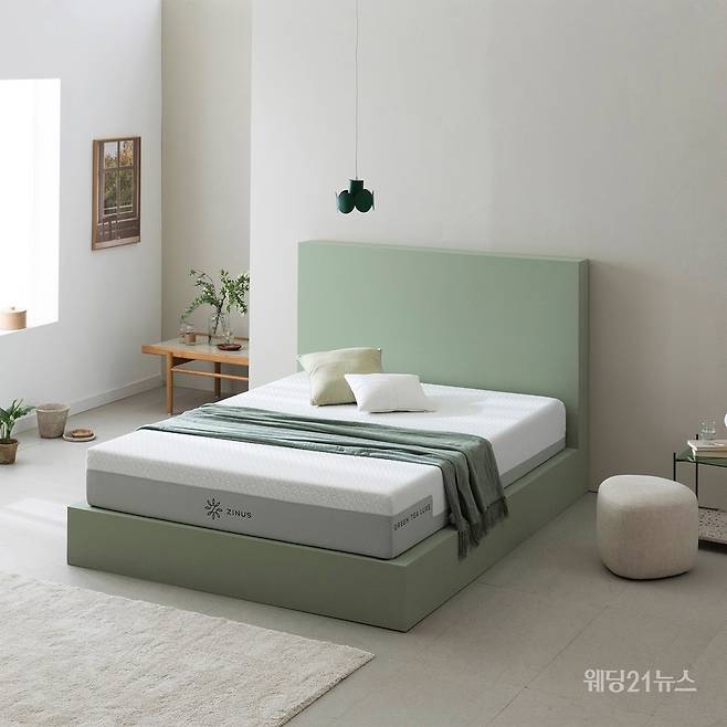 그린티 럭스 (사진제공 : 지누스)