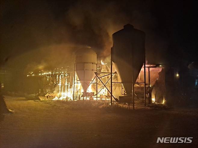 [영천=뉴시스] 이은희 기자= 28일 오전 영천시 청통면 돈사에서 불이 나 소방당국이 진화하고 있다.(사진= 경북소방본부 제공) 2022.5.28. photo@newsis.com