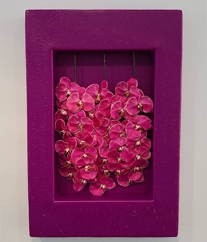 (서울=연합뉴스) 김준억 기자 = 서울 강남구 글래드스톤 서울에서 열리는 아니카 이 개인전 전시작 '치킨 스킨' 시리즈. 2022. 5. 27.