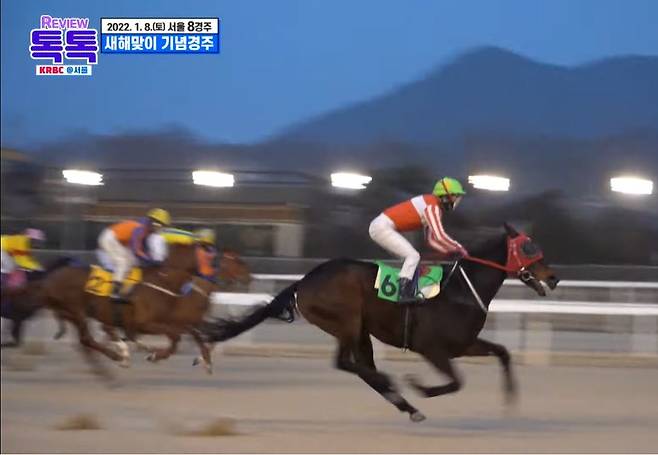 센스쟁이(맨 앞)가 질주하고 있다, 한국마사회 제공