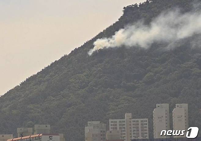 29일 오후 2시53분쯤 부산 영도구 봉래산에서 산불이 난 모습.(산림청 제공)© 뉴스1