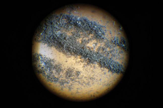 바퀴벌레의 뱃속에 들어갔다 나온 달 먼지의 모습이다. RR옥션 제공