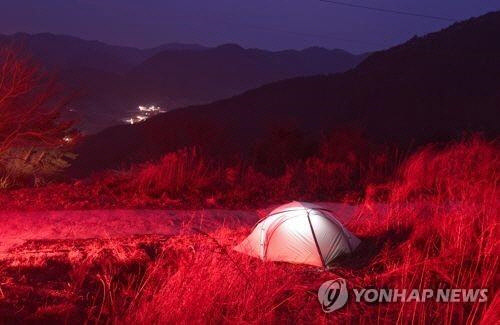 캠프 야영 <연합뉴스>