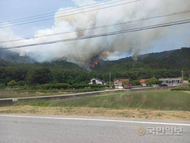 경북 울진군 근남면 산불 현장. 경북소방본부 제공