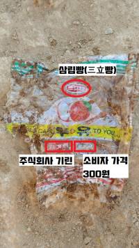 39호분 속에 버려져 있었던 삼립빵 봉지. 1980년대 초반에 마지막 도굴이 자행된 것으로 보인다.|국립가야문화재연구소  제공